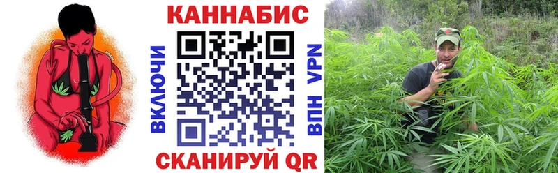 МАРИХУАНА сатива Каспийск